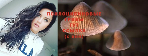 гидра Белая Калитва