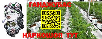 крисы Ливны