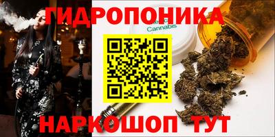 крисы Ливны