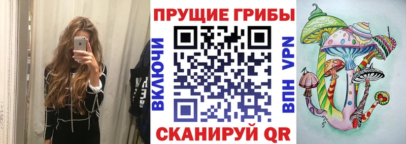 цены   Слободской  Галлюциногенные грибы Cubensis 