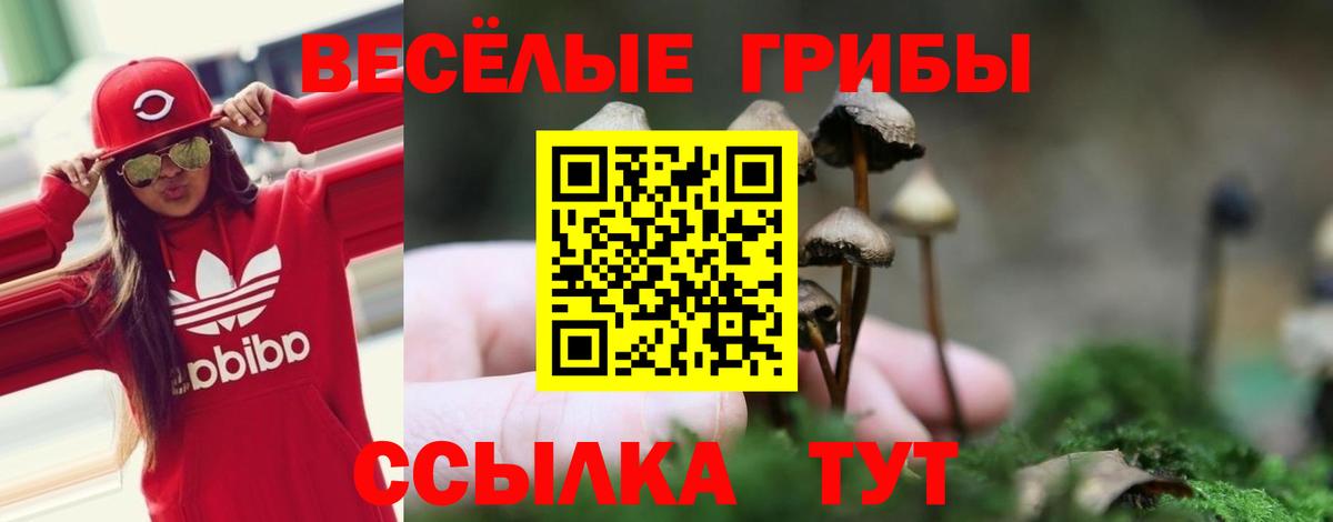 Слободской  Галлюциногенные грибы MAGIC MUSHROOMS  Вход с VPN 